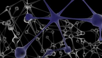 neuronenwebBlauw_450px1043922_51054240.jpg neuronenwebBlauw_450px1043922_51054240.jpg
