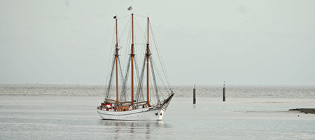 Driemaster_450x200_1221982_88248375.jpg Driemaster_450x200_1221982_88248375.jpg