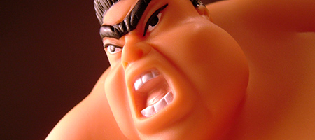 sumo_450x200_174887_2709.jpg