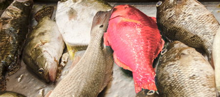 DeKeuze_Rood_450x200_1342715_56202367.jpg