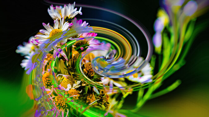 When flowers turn to anything